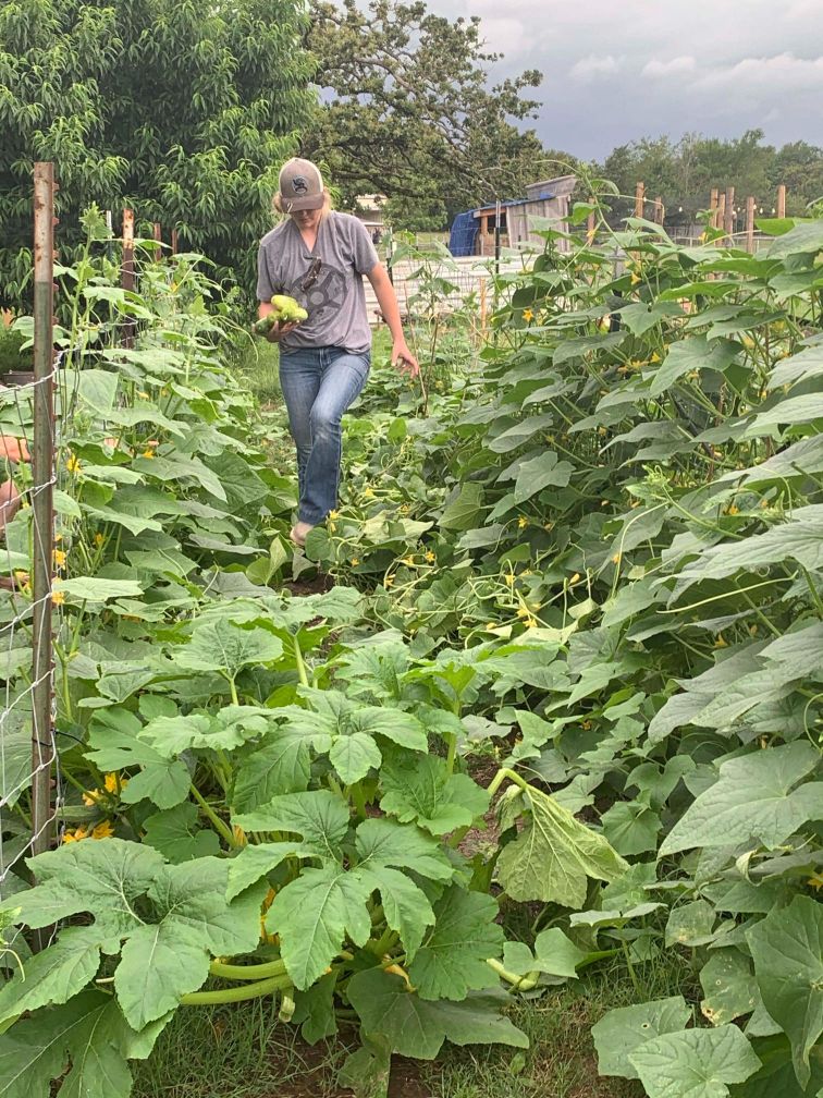 Gallery Images : Rockin Wrangler’s Farm Patch Homemade Goods & Boutique.